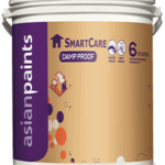asianSmartCareDampProofBasecoat